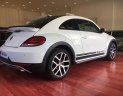 Volkswagen Beetle  Dune 2018 - Volkswagen Beetle Beetle Dune sản xuất 2018, màu trắng, nhập khẩu, hỗ trợ vay 80%