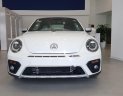 Volkswagen New Beetle 2018 - Bán Volkswagen New Beetle năm sản xuất 2018, màu trắng, xe nhập