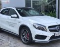 Mercedes-Benz GLA-Class   AMG 45 2015 - Bán ô tô Mercedes AMG 45 đời 2015, màu trắng, nhập khẩu nguyên chiếc