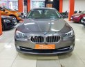 BMW 5 Series 520i 2013 - Bán xe BMW 5 Series 520i đời 2013, màu nâu, nhập khẩu