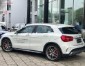 Mercedes-Benz GLA-Class   AMG 45 2015 - Bán ô tô Mercedes AMG 45 đời 2015, màu trắng, nhập khẩu nguyên chiếc