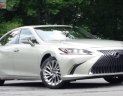 Lexus ES 250 2018 - Bán ô tô Lexus ES 250 sản xuất năm 2018, màu vàng, xe nhập