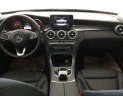 Mercedes-Benz C class 2018 - Bán Mercedes C200, đủ màu, giao ngay, cam kết giá tốt nhất