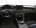 Mercedes-Benz C class 2018 - Bán Mercedes sản xuất 2018, Đủ màu, can kết ưu đãi tốt nhất