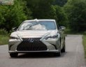 Lexus ES 250 2018 - Bán ô tô Lexus ES 250 sản xuất năm 2018, màu vàng, xe nhập