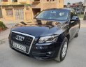 Audi Q5 2010 - Bán xe Audi Q5 sản xuất năm 2010, màu xanh lam, nhập khẩu