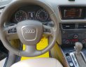 Audi Q5 2010 - Bán xe Audi Q5 sản xuất năm 2010, màu xanh lam, nhập khẩu