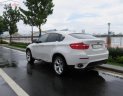 BMW X6 2009 - Bán BMW X6 2009, màu trắng, xe nhập số tự động giá cạnh tranh