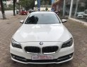 BMW 5 Series 520i  2015 - Bán ô tô BMW 5 Series 520i sản xuất năm 2015