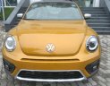 Volkswagen New Beetle 2018 - Giá xe volkswagen Beetle 2019 nhập khẩu cực rẻ, hỗ trợ trả góp 80% xe, xe có sẵn giao ngay đủ màu