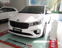 Kia Sedona Platinum G 2018 - Bán Kia Sedona Platinum G cho bản máy xăng full option