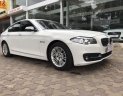 BMW 5 Series 520i  2015 - Bán ô tô BMW 5 Series 520i sản xuất năm 2015