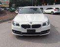 BMW 5 Series 520i 2014 - Bán BMW 520i sản xuất 2014 đăng ký 2015, cửa hít