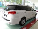 Kia Sedona Platinum G 2018 - Bán Kia Sedona Platinum G cho bản máy xăng full option