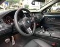 BMW 5 Series 520i  2016 - Bán BMW 5 Series 520i sản xuất 2016, màu nâu, nhập khẩu nguyên chiếc