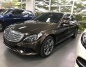 Mercedes-Benz C class C250 2018 - Cần bán Mercedes C250 đời 2018, màu nâu