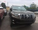 Toyota Prado VX 2.7L 2018 - Cần bán xe Toyota Prado VX 2.7L năm 2018, màu nâu, nhập khẩu