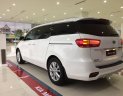 Kia Sedona Platinum D 2018 - Bán Sedona Platinum D 2019, giá 1tỷ 209 triệu, tặng Camera hành trình nhập khẩu Hàn Quốc, liên hệ 0979.508.434 gặp Vinh nhé