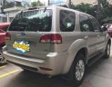 Ford Escape 2009 - Cần bán lại xe Ford Escape đời 2009, chính chủ