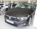 Volkswagen Passat 1.8 Bluemotion 2017 - Bán Volkswagen Passat 1.8 Bluemotion 2017, màu xám, nhập khẩu