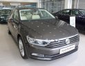 Volkswagen Passat 1.8 Bluemotion 2017 - Bán Volkswagen Passat 1.8 Bluemotion 2017, màu xám, nhập khẩu