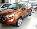 Ford EcoSport Titanium 1.0 EcoBoost 2018 - Bán xe Ford EcoSport Titanium 1.0 EcoBoost đời 2018, động cơ EcoBoost