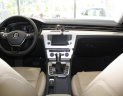 Volkswagen Passat 1.8 Bluemotion 2017 - Bán Volkswagen Passat 1.8 Bluemotion 2017, màu xám, nhập khẩu