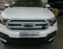 Ford Everest Ambient MT 2018 - Bán xe Ford Everest Ambient MT năm 2018, đủ màu, giao ngay