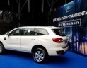 Ford Everest Ambient MT 2018 - Bán xe Ford Everest Ambient MT năm 2018, đủ màu, giao ngay