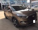 Hyundai Tucson   Turbo  2017 - Cần bán Hyundai Tucson Turbo sản xuất năm 2017, màu nâu số tự động