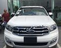 Ford Everest Titanium 2.0L 4x2 AT 2018 - Bán Ford Everest Titanium 2.0L 4x2 AT sản xuất năm 2018, màu trắng, xe nhập