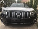 Toyota Prado VX 2018 - Bán Toyota Prado 2018, nhận đặc xe giao sớm nhất.