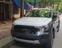 Ford Ranger Wildtrak 2.0 2018 - Bán Ford Ranger Wildtrak 2.0 2018, màu xám, nhập khẩu Thái