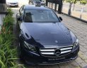 Mercedes-Benz E class E250  2018 - Cần bán lại xe Mercedes E250 đời 2018, màu đen
