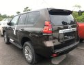Toyota Prado 2.7 VX 2018 - Bán Toyota Prado 2.7 VX nhập khẩu nguyên chiếc, màu nâu giao xe ngay, hỗ trợ vay tới 85%
