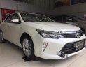 Toyota Camry 2008 - Bán ô tô Toyota Camry 2008, màu trắng, giá chỉ 972 triệu