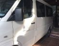 Mercedes-Benz Sprinter   2010 - Bán Mercedes năm 2010, màu trắng như mới