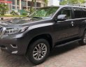 Toyota Prado VX 2018 - Bán Toyota Prado 2018, nhận đặc xe giao sớm nhất.