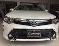 Toyota Camry 2008 - Bán ô tô Toyota Camry 2008, màu trắng, giá chỉ 972 triệu