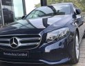 Mercedes-Benz E class E250  2018 - Cần bán lại xe Mercedes E250 đời 2018, màu đen
