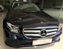 Mercedes-Benz E class E250 2018 - Bán xe Mercedes E250 năm 2018 mới, đủ các màu, giao xe toàn quốc