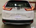 Honda CR V G 2018 - Bán ô tô Honda CR V G đời 2018, màu trắng, xe nhập