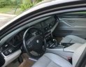 BMW 5 Series 523 2010 - Bán BMW 5 Series 523 sản xuất năm 2010, màu nâu, nhập khẩu