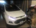 Ford EcoSport   2016 - Bán Ford EcoSport sản xuất năm 2016, màu trắng chính chủ