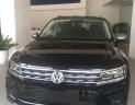 Volkswagen Tiguan Allsapce 2018 - Bán Tiguan Allspace nhập khẩu nguyên chiếc của Đức