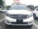 Ford Everest Titanium 2.0L 4x4 AT 2018 - Cần bán Ford Everest Titanium 2.0L 4x4 AT đời 2018, màu trắng, nhập khẩu