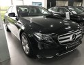 Mercedes-Benz E class  E250  2017 - Bán xe Mercedes E250 đời 2017, màu đen, chạy lướt