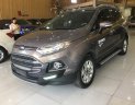 Ford EcoSport Titanium 1.5AT  2016 - Cần bán Ford EcoSport Titanium 1.5AT sản xuất năm 2016, màu xám