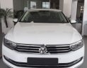 Volkswagen Passat 1.8 Bluemotion 2017 - Bán Volkswagen Passat 1.8 Bluemotion 2017, màu trắng, nhập khẩu