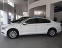 Volkswagen Passat 1.8 Bluemotion 2017 - Bán Volkswagen Passat 1.8 Bluemotion 2017, màu trắng, nhập khẩu